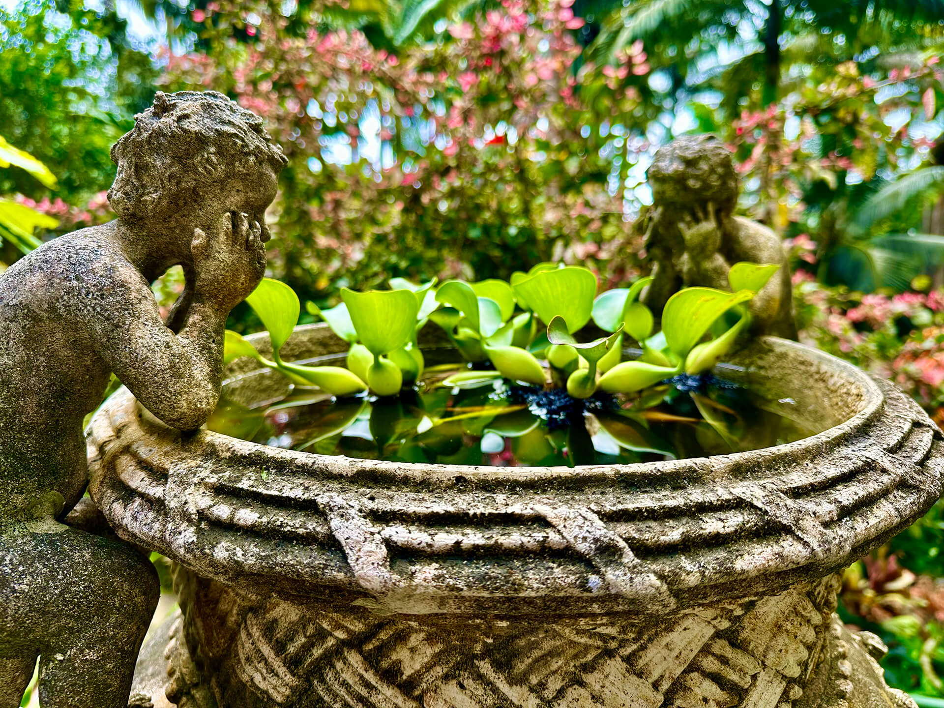 Hunte's Gardens - Michael Connock TV Producer Director