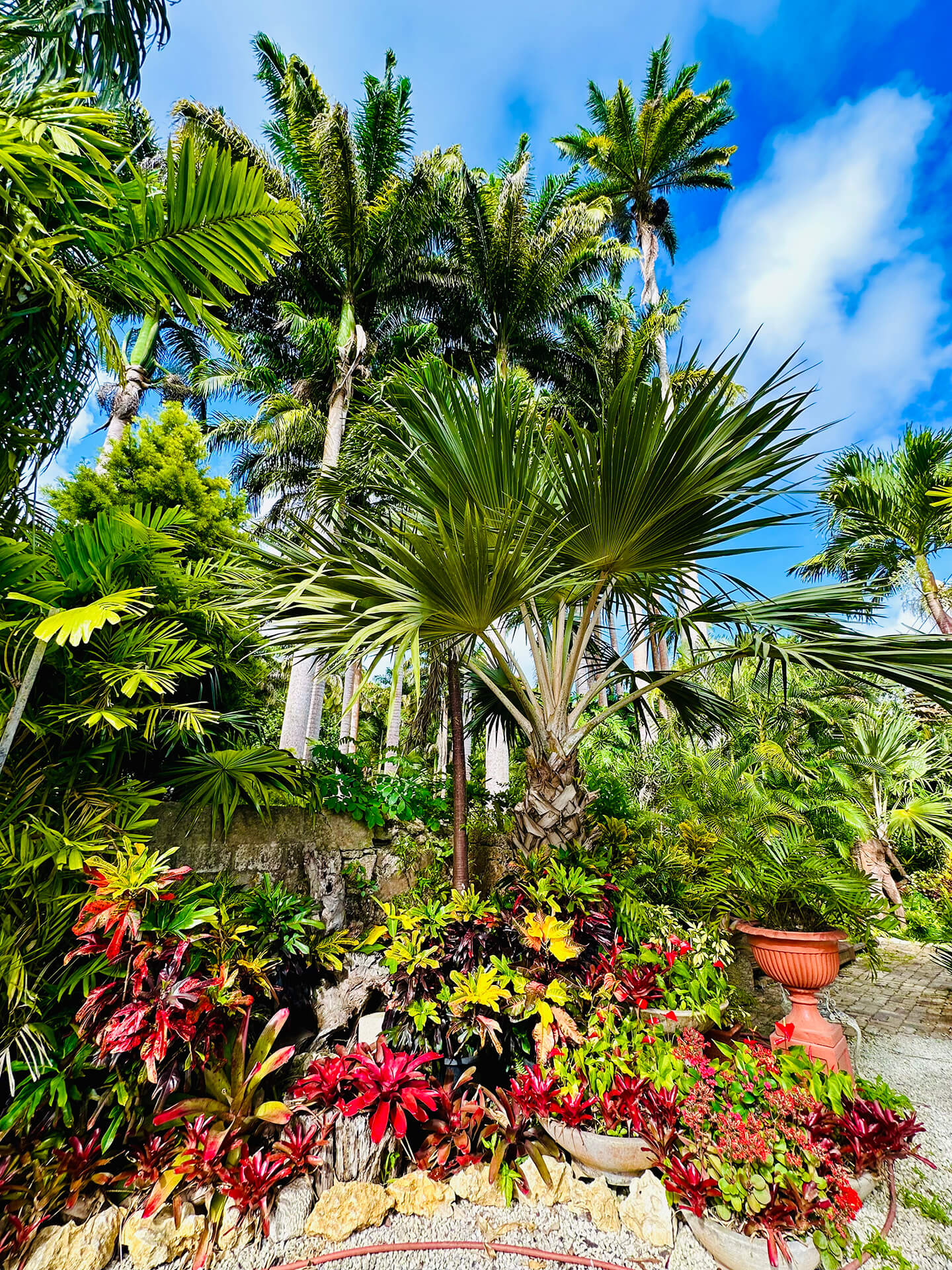 Hunte's Gardens - Michael Connock TV Producer Director